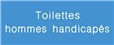 Signalétique gravée Toilettes hommes handicapés - Gamme Couleur
